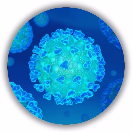 Medidas adoptadas sobre el Coronavirus